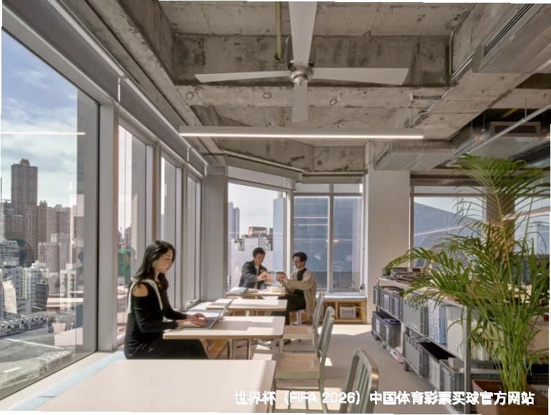 未来愿景与发展方向